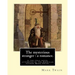 The mysterious stranger: a romance. By: Mark Twain, illustrated By: N. C. Wyeth: The Mysterious Stranger is the final novel attempted by the Am