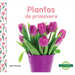 Plantas de Primavera (Spring Plants)