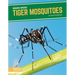 Tiger Mosquitoes