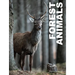 Forest Animals