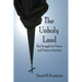 The Unholy Land: The Struggle for Virtue and Unity in America