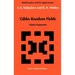 Gibbs Random Fields: Cluster Expansions