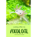 Looking After An Axolotl: Care Instructions for Axolotls