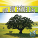 Our Sun Brings Life