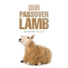 Our Passover Lamb