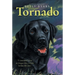 Tornado