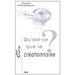 Qu'est-CE Que Le Creationnisme?