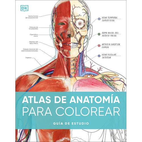 Atlas de Anatomã-A Para Colorear (the Human Body Coloring Book): Guã-A de Estudio