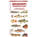Mississippi Freshwater Fishes