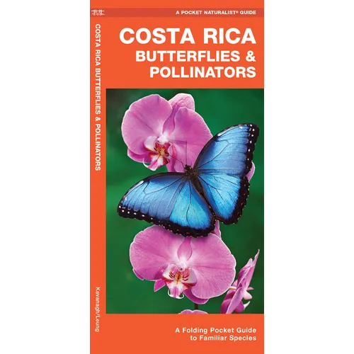Costa Rica Butterflies & Pollinators: A Folding Pocket Guide to Familiar Species