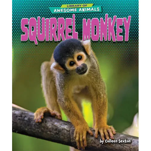 Squirrel Monkey
