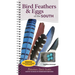 Bird Feathers & Eggs of the South: Identify 40 Species of Common Backyard Birds