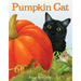 Pumpkin Cat