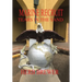 Marine Recruit: Tears in the Sand