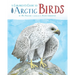 A Children's Guide to Arctic Birds