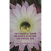 The Paradox of Trauma and Growth in Pastoral and Spiritual Care: Night Blooming