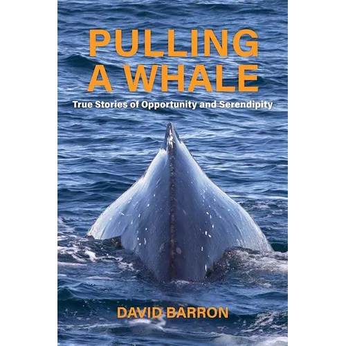 Pulling a Whale: True Stories of Opportunity and Serendipity