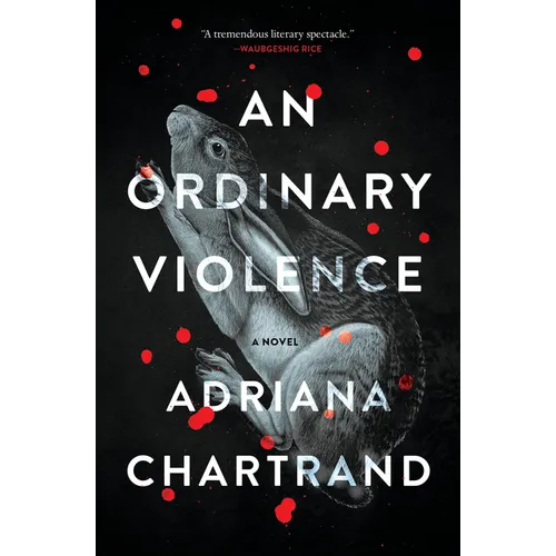 An Ordinary Violence