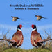 South Dakota Animals and Mammals Wildlife Book: Great South Dakota Animals Book for Children of all Ages