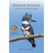 Halcyon Journey: In Search of the Belted Kingfisher