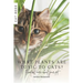 What plants are toxic to cats?: Find out more about your pet