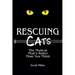 Rescuing CATS: The Musical That's Better Than You Think