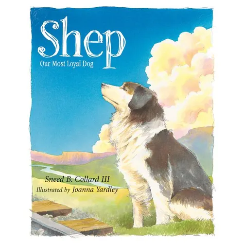 Shep: Our Most Loyal Dog