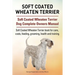 Soft Coated Wheaten Terrier. Soft Coated Wheaten Terrier Dog Complete Owners Manual. Soft Coated Wheaten Terrier book for care, costs, feeding, groomi