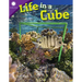 Life in a Cube