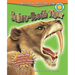 Sabre-Tooth Tiger