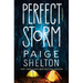 Perfect Storm: A Mystery