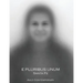 E Pluribus Unum: Santa Fe