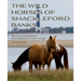 Wild Horses of Shackleford Banks