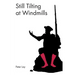 Still Tilting at Windmills