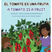 El tomate es una fruta A Tomato is a Fruit