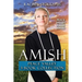 Amish Peace Valley 3-Book Collection