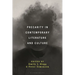 Precarity in Contemporary Literature and Culture