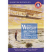 The Wright Brothers: Pioneers of American Aviation