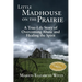 Little Madhouse on the Prairie: A True-Life Story of Overcoming Abuse and Healing the Spirit