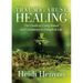 Trauma and Abuse Healing: The Guide to Using Ritual and Ceremony to Delight in Life