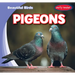 Pigeons