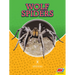 Wolf Spiders