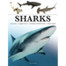 Sharks & Underwater Predators