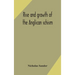Rise And Growth Of The Anglican Schism