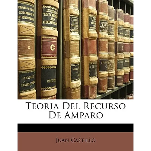 Teoria Del Recurso De Amparo