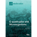 G-quadruplex and Microorganisms