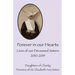 Forever in Our Hearts 2010-2019