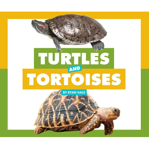 Turtles and Tortoises