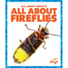 All about Fireflies