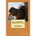 Squirrel Down